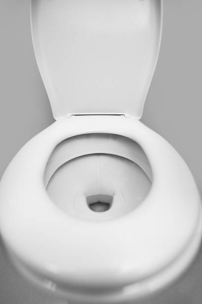 istock clean new white toilet 477725874