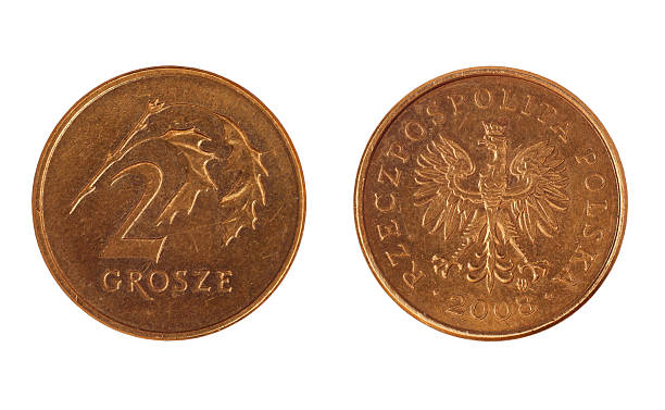 istock coin of poland 477725995