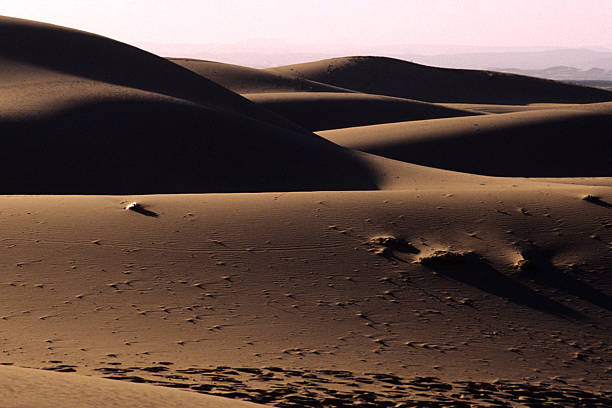 The dunes of the desert stock photo