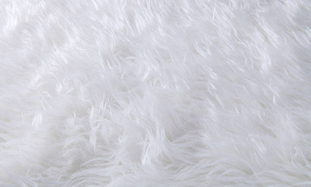 istock close up texture of fur carpet 477733554