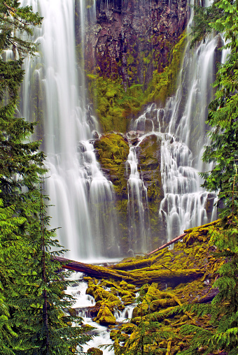 Proxy Falls is east of Eugene in the Oregon Cascades.