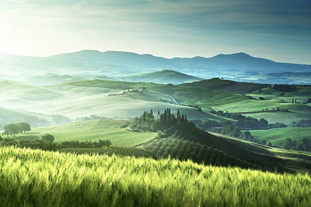 istock Early spring morning in Tuscany, Italy 477739062