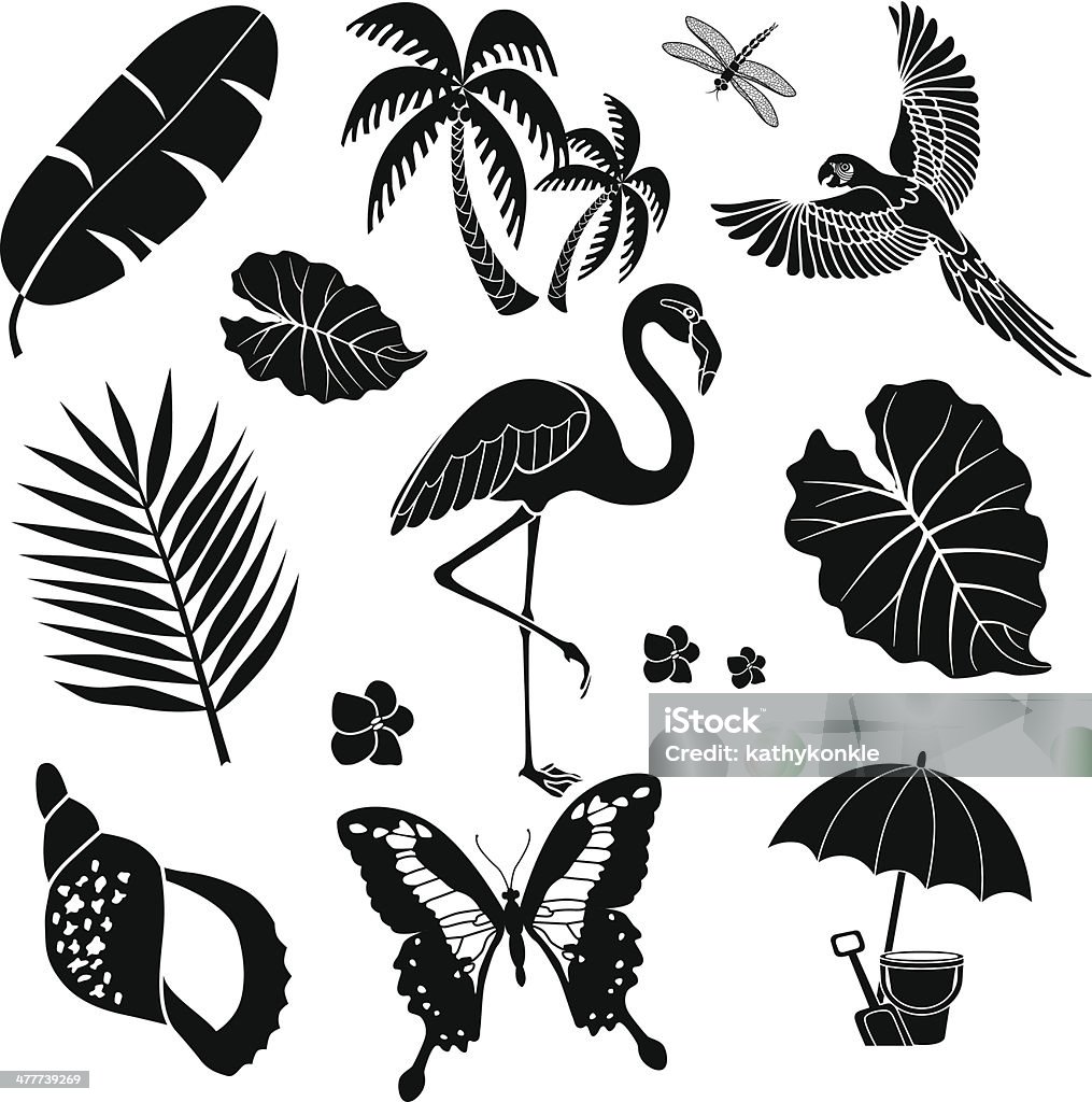 tropical birds plants and insects A vector illustration of tropical birds plants and insects in black and white. Vector stock vector