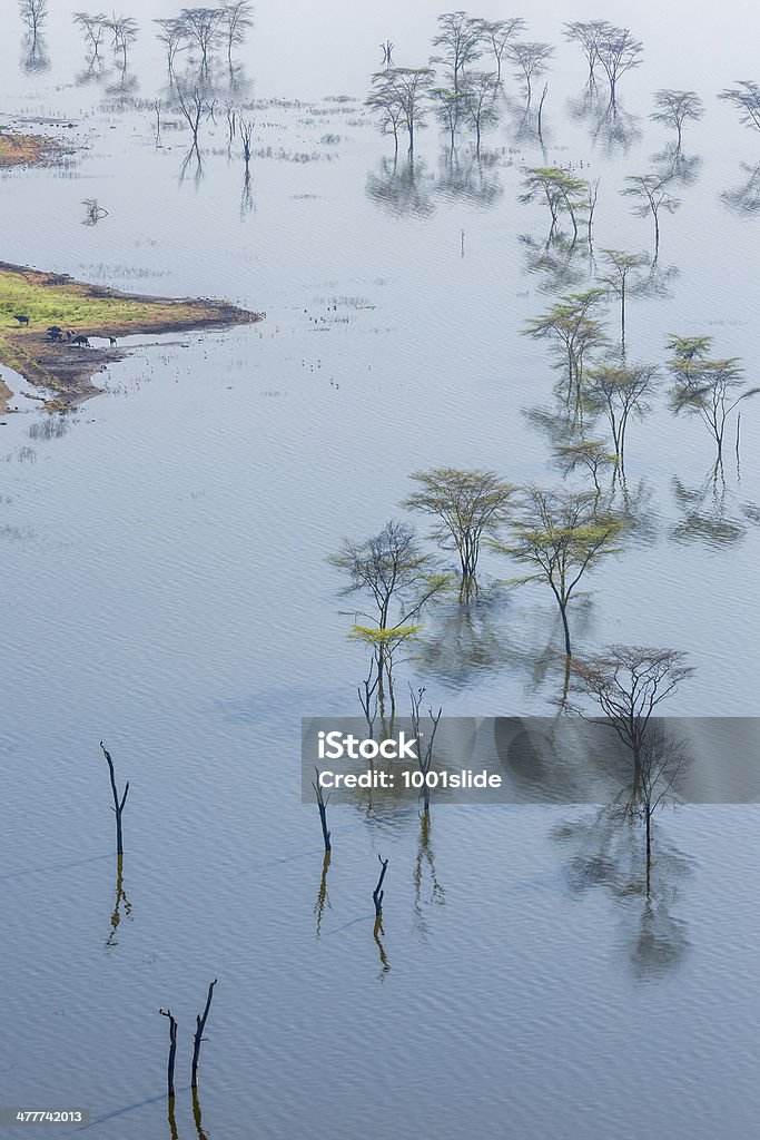 panorama du Lac Nakuru - Photo de Afrique libre de droits