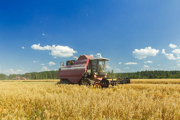 istock Modern combine harvester working in field under blue sky 477742754