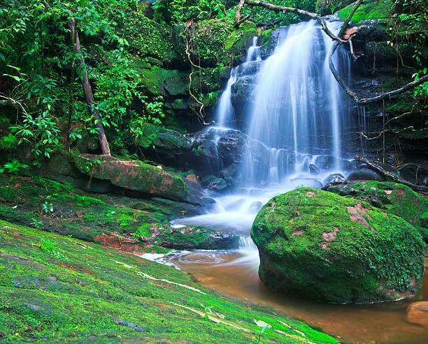 istock Beautiful  waterfall  asia thailand 477748159