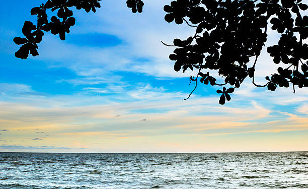 istock blue sea and blue sky with silhouette of leaf 477750156