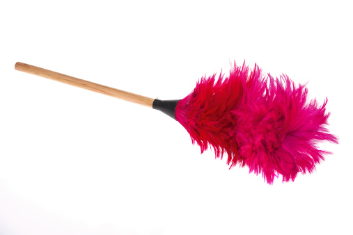 Pink featehr duster on a white background