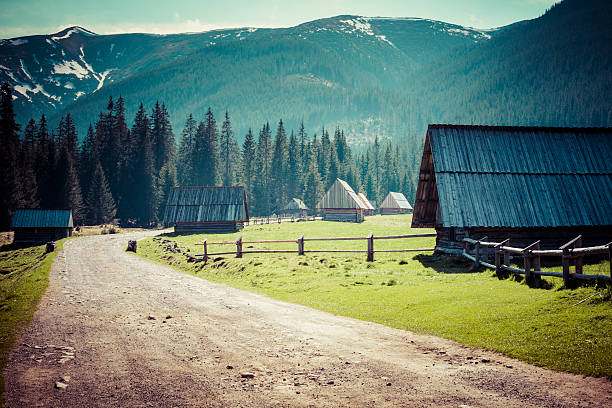 istock Chocholowska valley, Tatra Mountains, Poland 477750606