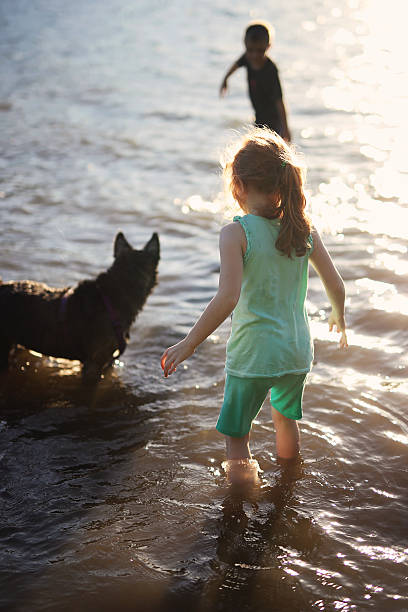istock Elementary age girl, boy and dog play outdoors in water 477753528