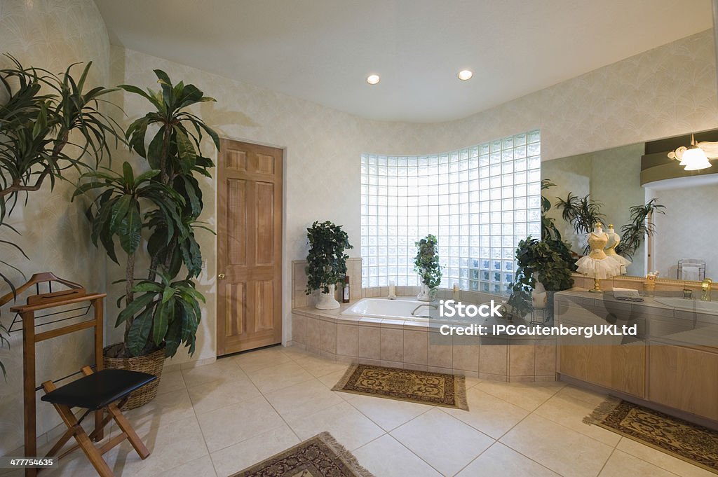 Spacious Bathroom At Home View of a spacious bathroom with glass brick window at home Glass Brick Stock Photo