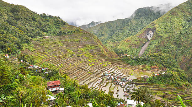 banaue terrazze di riso-filippine - ifugao foto e immagini stock