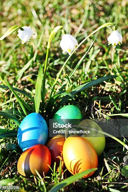 Easter Egg Meadow Snowdrop Stock Photo - Download Image Now - Blue, Celebration, Christianity