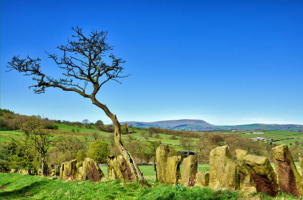 istock Stone built boundary fence near Pendle Hill 477758048