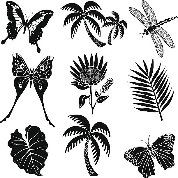열대 꽃이나 곤충과 - 북미긴꼬리산누에나방 stock illustrations