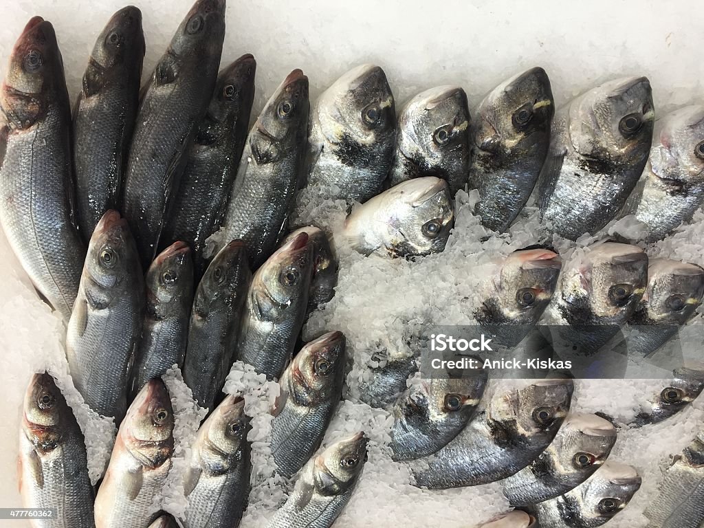 Raw trout on ice Raw trout on ice, sale seafood, fresh frozen fish background 2015 Stock Photo