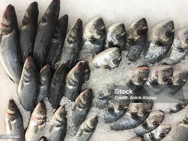 Raw Trout On Ice Stock Photo - Download Image Now - 2015, Animal, Close-up