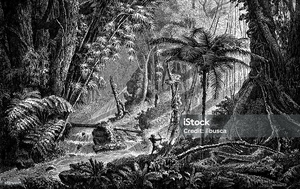 Antique illustration of Brasilian jungle 19th Century Style stock illustration