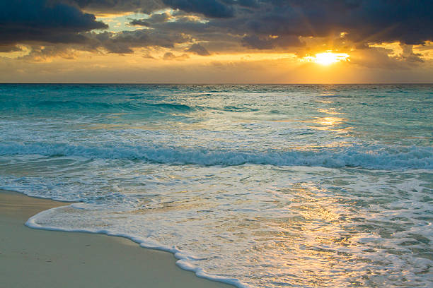 istock Beach of the Caribbean Sea 477764649