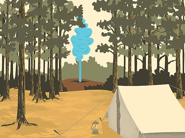 National park scene with geyser. vector art illustration