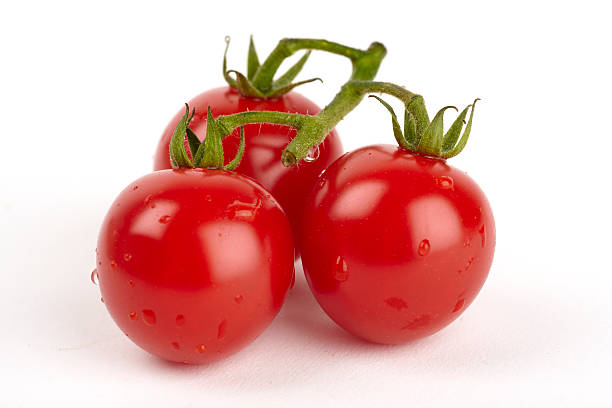 Three Panicles Tomatoes Three Panicles Tomatoes with Water Drops isolated on white Background panicle stock pictures, royalty-free photos & images