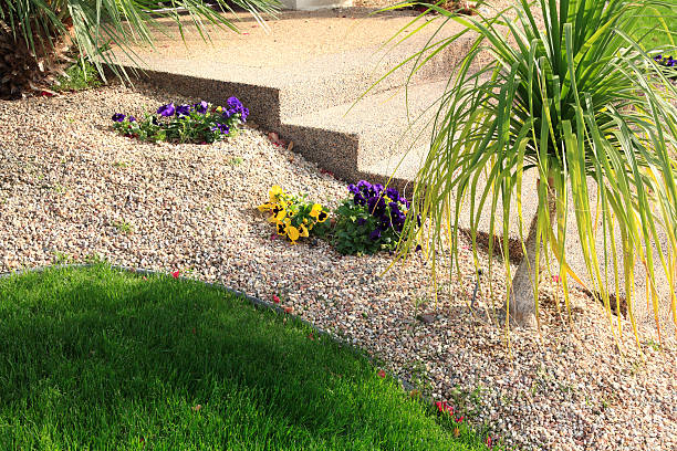 istock Water Conservation And Simplicity In Garden Design 477766219