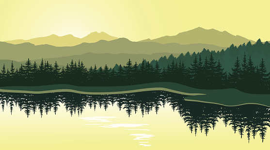 Beautiful sunset at mountain lake with pine trees on coast. Vector landscape. Summer panorama of the mountains in shades of green. Eps 10.