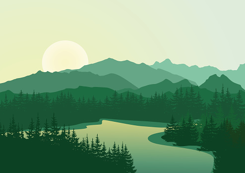 Beautiful sunrise at mountain lake with pine trees on coast. Vector landscape. Summer panorama of the mountains in shades of green. Eps 10.