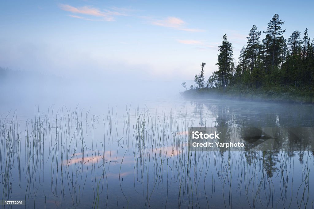 Misty Lake mist over the northern lake Beauty In Nature Stock Photo