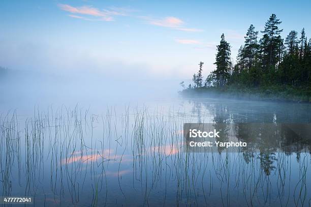 Misty Lake Stock Photo - Download Image Now - Beauty In Nature, Coniferous Tree, Copy Space