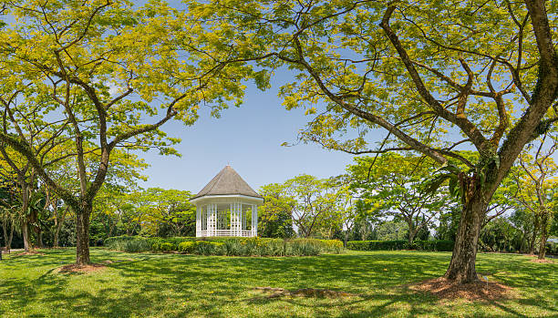 The white pergola at Ring road in Singapore Botanic Garden.