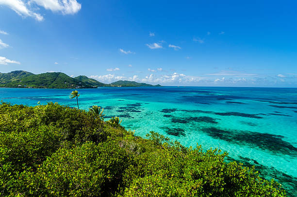 istock Jungle and Turquoise Water 477773153