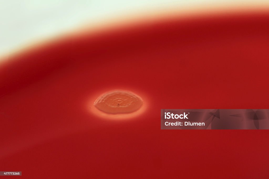 Superbugs - Lizenzfrei Antibiotikaresistent Stock-Foto