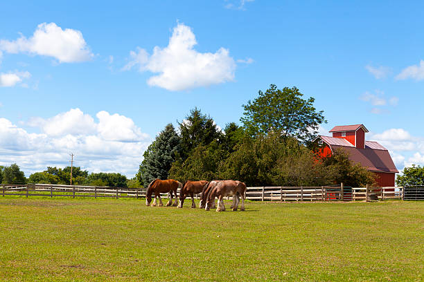 istock American Farmland With Blue Cloudy Sky 477775847