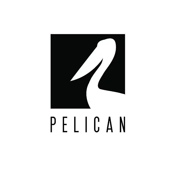 Vector illustration of pelican vector design template