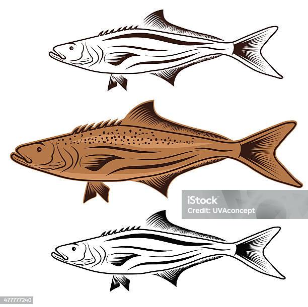 Cod Fish Vector Design Template Stock Illustration - Download Image Now ...