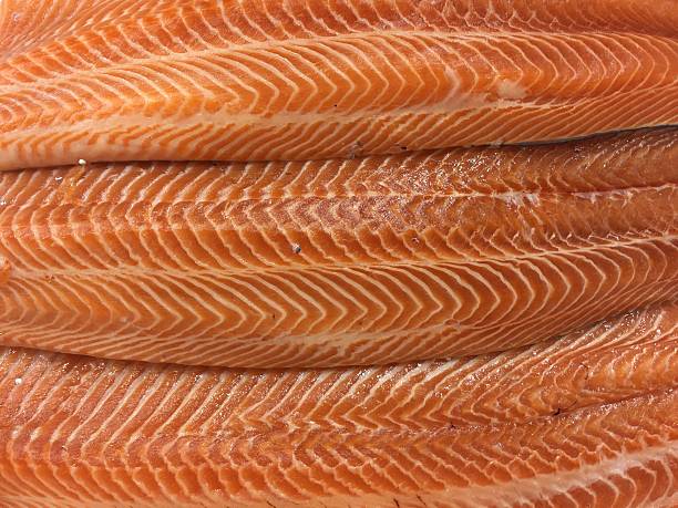 Salmon fillet red fish on ice