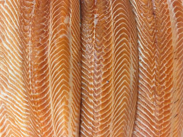 Salmon fillet red fish on ice
