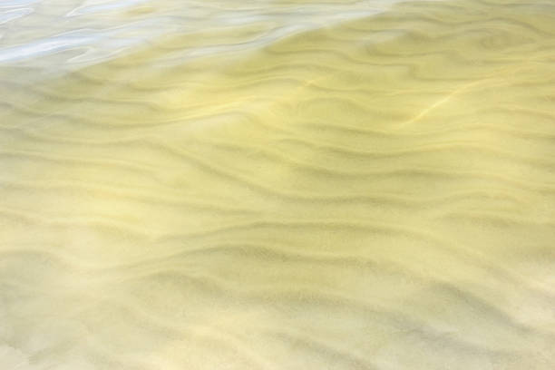 istock ribbed sandy bottom of the sea 477779100