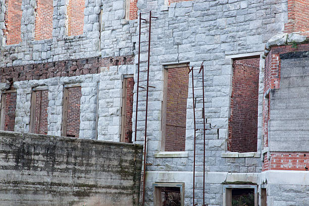 istock Dungeness Ruins, Cumberland Island, GA 477779400
