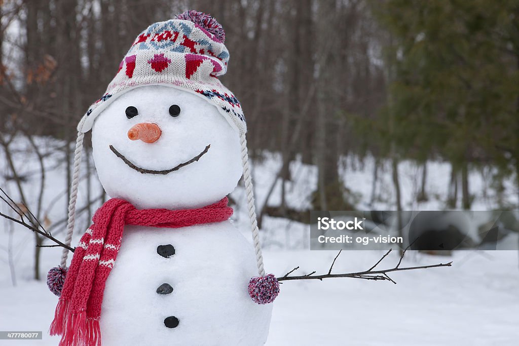 Snowman Happy snowman outside against forest background Snowman Stock Photo