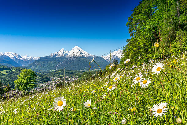 idyllische sommer landschaft der alpen - european alps germany landscaped spring stock-fotos und bilder