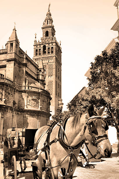 sevilha - seville sevilla la giralda spain imagens e fotografias de stock