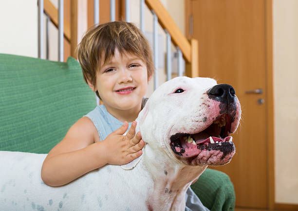 istock nice girl on couch with dog 477783104
