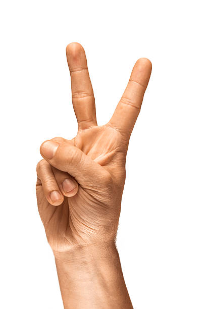 istock Symbols of Peace 477783115