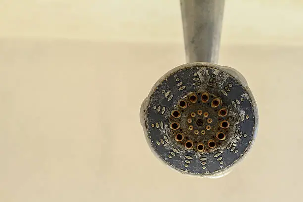 dirty showerhead with rust and limescale