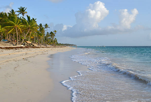 istock Perfect tropical island paradise beach 477785269
