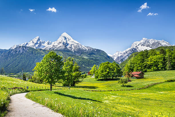 idyllische sommer landschaft der alpen mit schneebedeckten berggipfeln - european alps germany landscaped spring stock-fotos und bilder