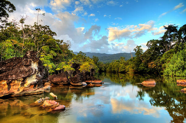 Tropical river Masoala Beautiful view of the tropical jungle river at the beach of Masoala National Park in Madagascar madagascar stock pictures, royalty-free photos & images