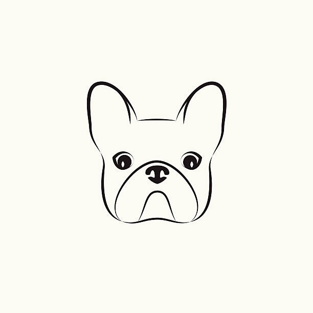 ilustraciones, imágenes clip art, dibujos animados e iconos de stock de estilizadas cabeza de un perro sobre fondo claro - french bulldog